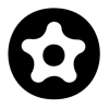 1/4" БИТЫ 5-ТИ ЛУЧЕВЫЕ С ОТВЕРСТИЕМ FIVE-SIDED (TS)