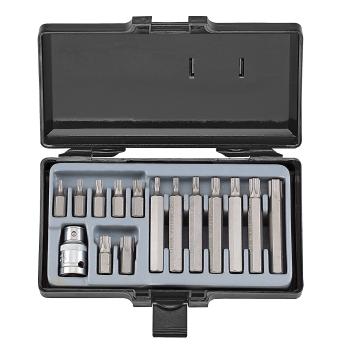 1/2" Набор бит Torx 10 мм 15 пр. (Т20-Т55) (FORCE 4156)